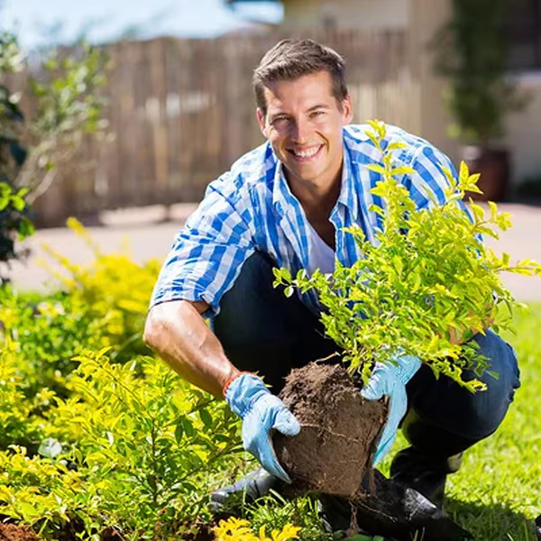 🌱Soil Activated Treasure-You Will Be Amazed!